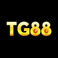 tg88t5pro's Photo