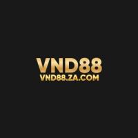 Vnd88zacom's Photo