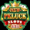 newpkluck1com's Photo