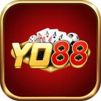 yo88feedback's Photo