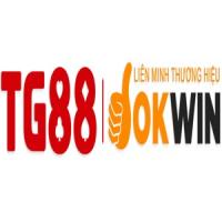 tg88agency's Photo