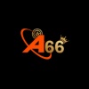 a666art's Photo