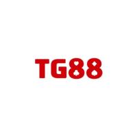 Tg88cd's Photo